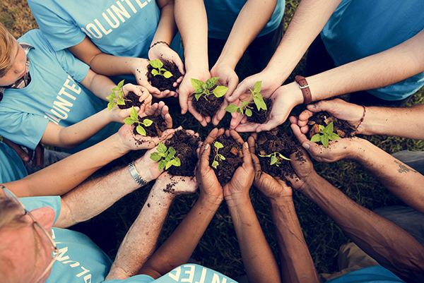 Image of hands holding plants