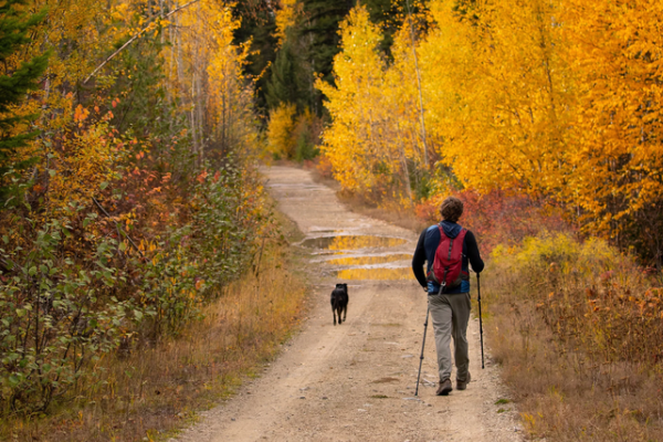 FMB Quarterly Update_Fall